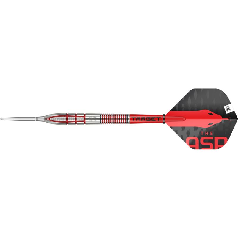 Target Nathan Aspinall G2 95% 26 gram Steeltip 